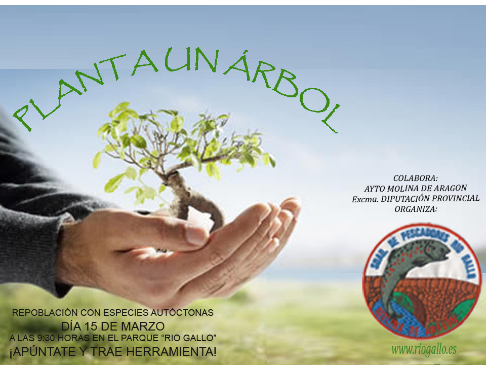 CARTEL_PLANTA_ARBOL_2014 (201K)